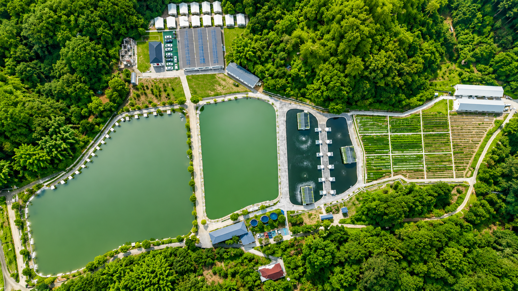 Zengcheng Ecological Space